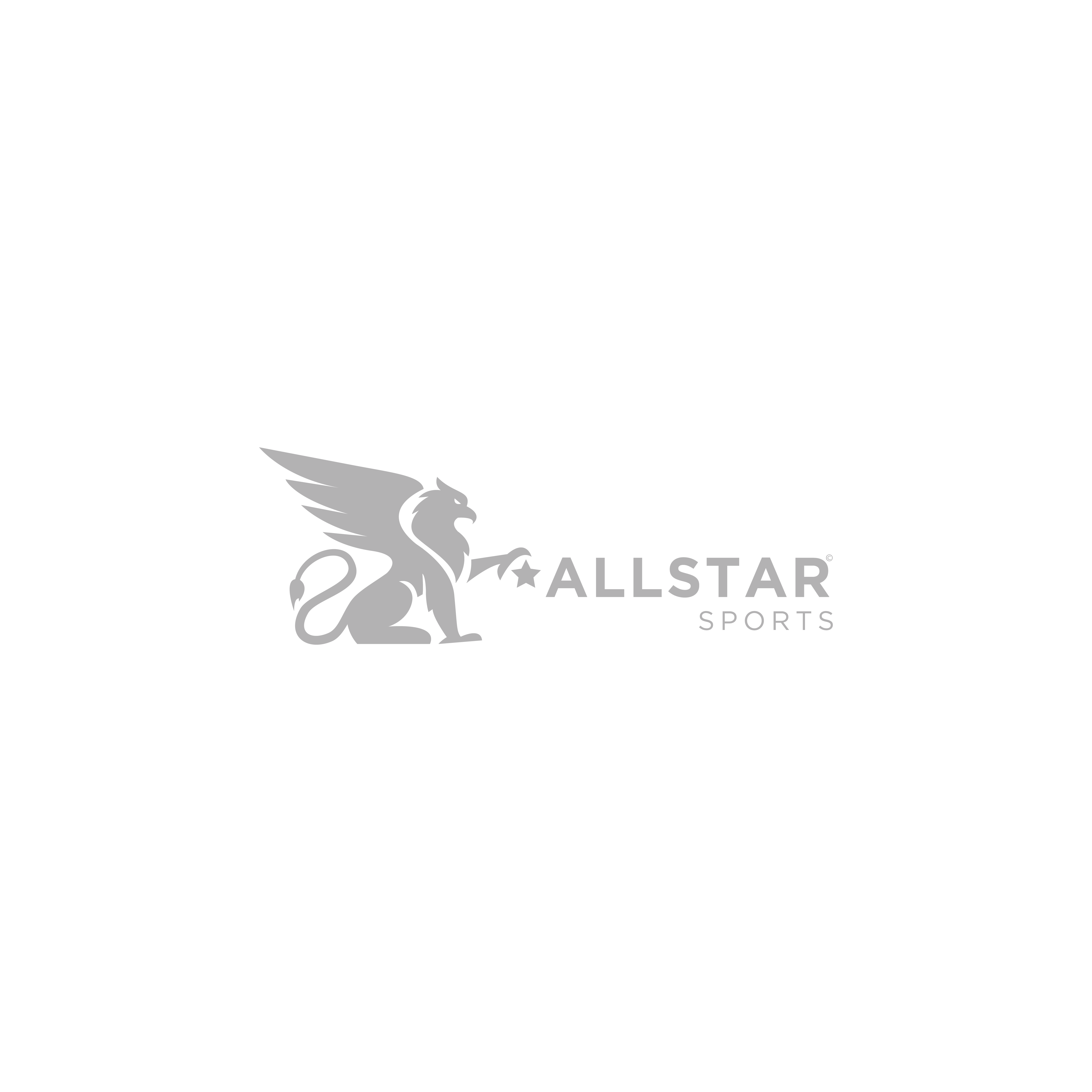 ALLStars Sport Logo