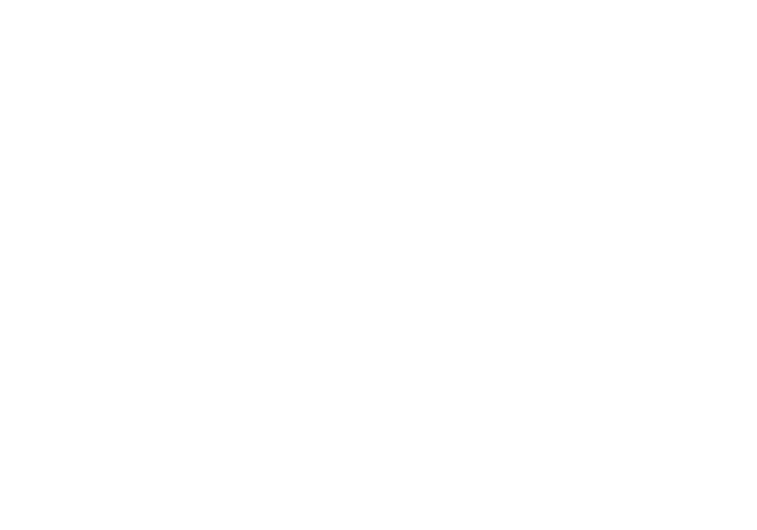 IAG 2.0 Logo-14